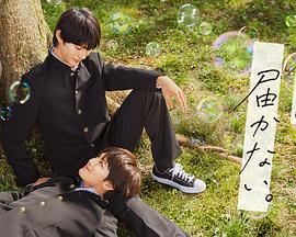 天天日人人操夜夜骑个个摸海报剧照